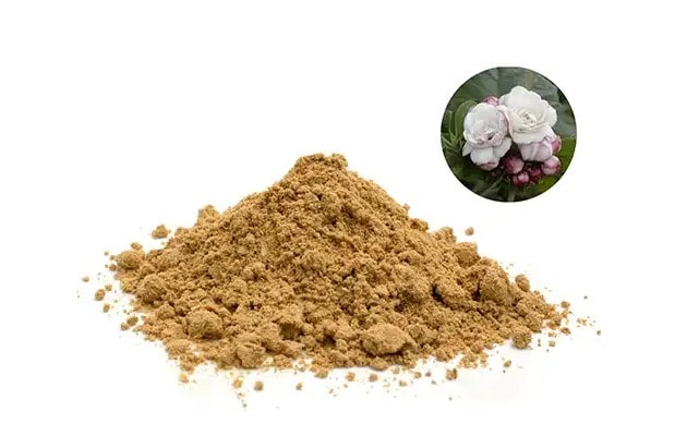 Bán cao khô bạch đồng nữ