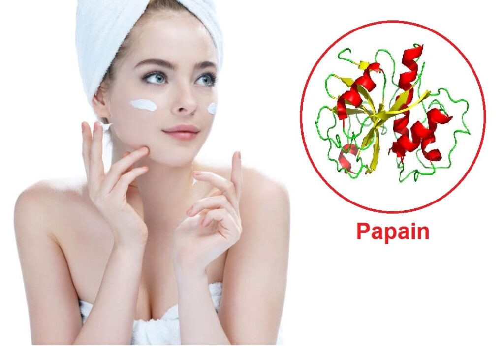 Cách dùng Papain để làm đẹp như thế nào?
